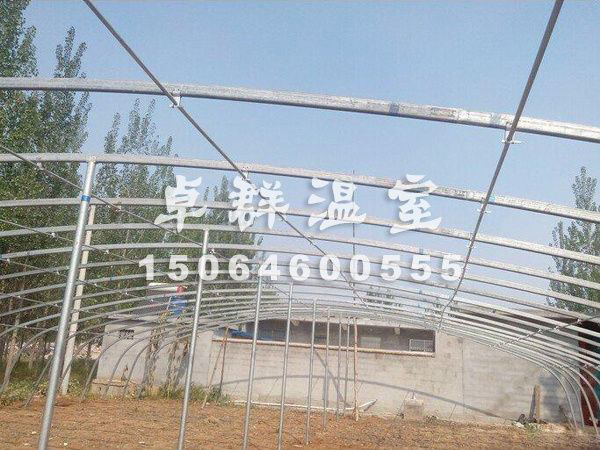 邵莊鎮育苗薄膜溫室.jpg